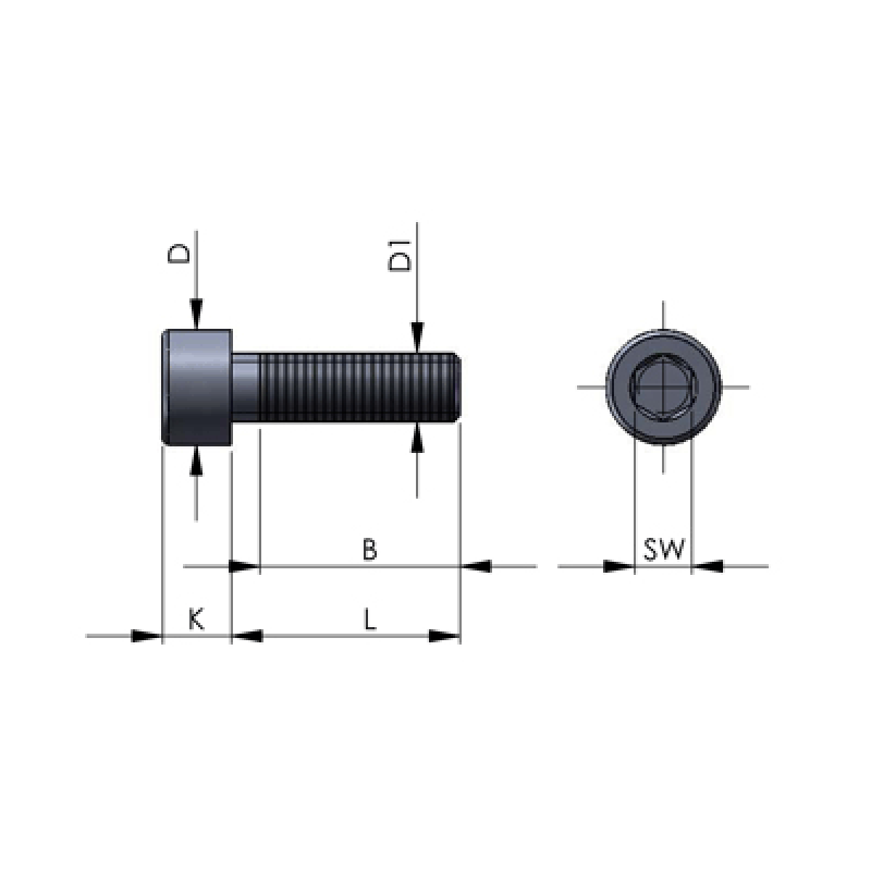 Hexagon Socket Head Cap Screws Ev 1 Din 912 5739